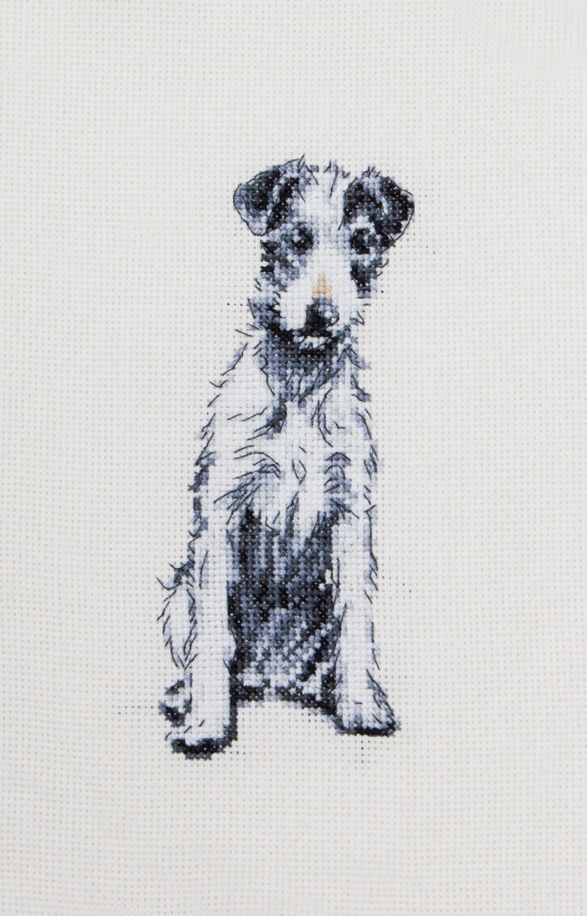 Cecil Aldin Man's Best Friend Cross Stitch Kit - Barney