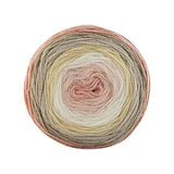 Papatya Cake Wool DK Yarn 150g
