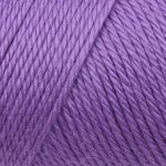 Caron - Simply Soft Aran Yarn 170g - Brites