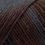 Caron Simply Soft Aran Yarn 141g - Paints & Heathers