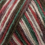 Caron Simply Soft Aran Yarn 141g - Paints & Heathers