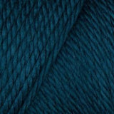 Caron Simply Soft Aran Yarn 170g - Solids