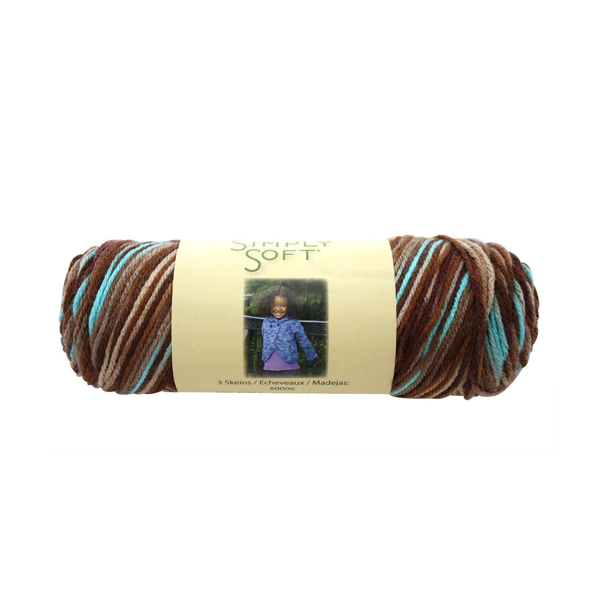 Caron Simply Soft Aran Yarn 141g - Paints & Heathers