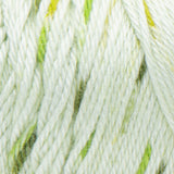 Caron Simply Soft Aran Knitting Yarn 141g - Speckle