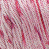 Caron Simply Soft Aran Knitting Yarn 141g - Speckle
