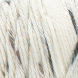 Caron Simply Soft Aran Knitting Yarn 141g - Speckle