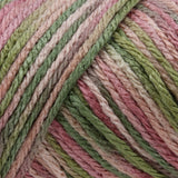 Caron Simply Soft Aran Yarn 141g - Paints & Heathers