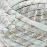 Bernat ColorWhirl Super Chunky 250g Yarn
