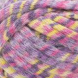Bernat ColorWhirl Super Chunky 250g Yarn