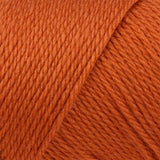 Caron Simply Soft Aran Yarn 170g - Solids